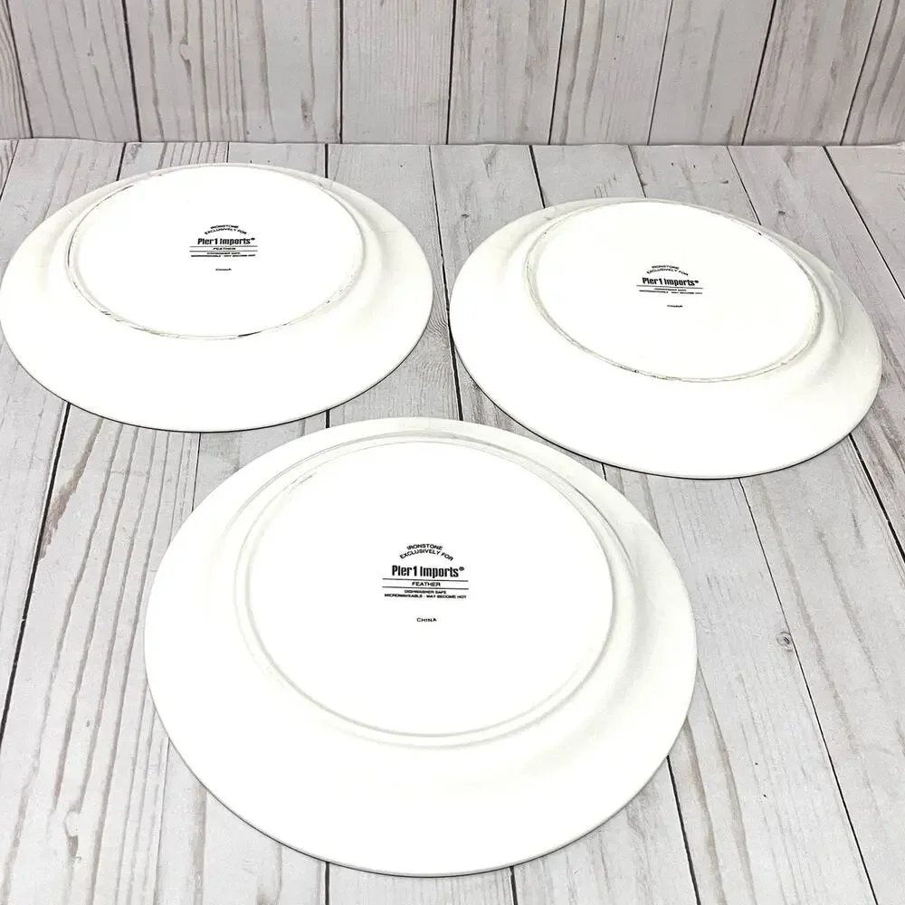 Pier 1 Imports 9” Ironstone Feather Salad Plates Set Of 3 Discontinued Pattern